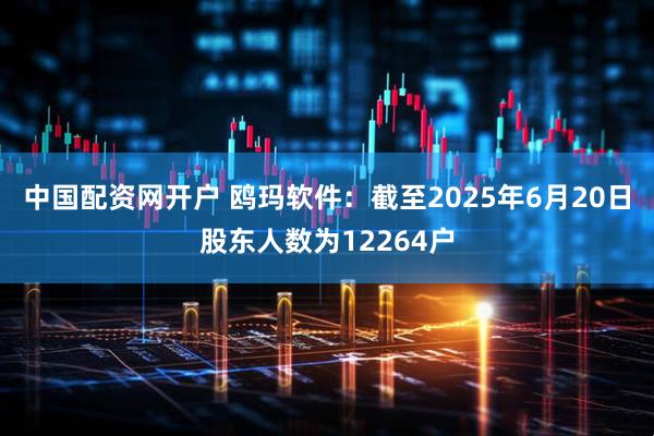 中国配资网开户 鸥玛软件：截至2025年6月20日股东人数为12264户